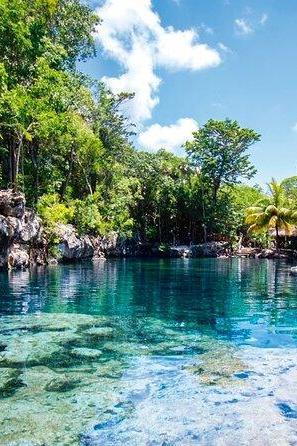Cenotes Casa Tortuga Tulum